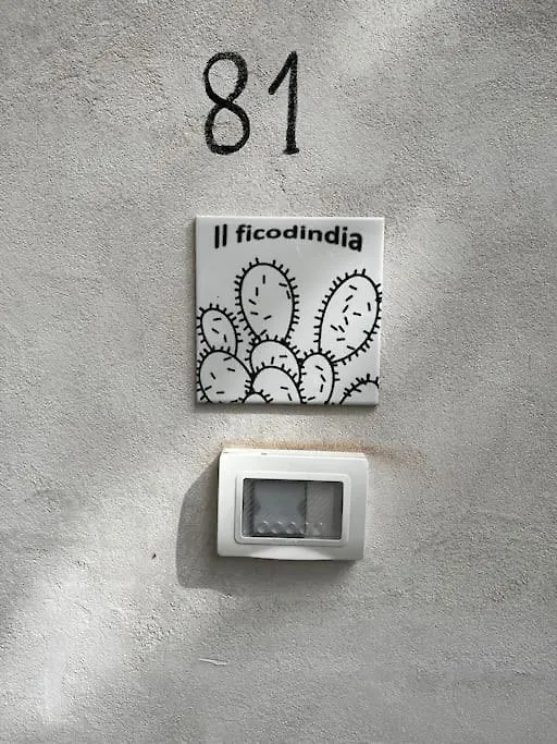 Il Mio Ficodindia Apartment Palermo